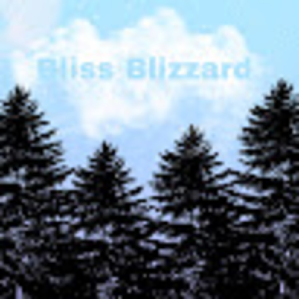 Meet your Posher, Bliss
